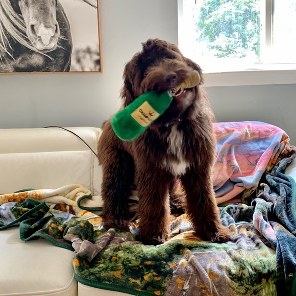 ☺️Meet your Posher, ♥️Bia  💕Welcome !😘 - Picture 8 of 16